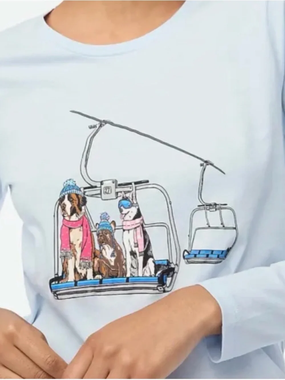 J Crew Women’s Dogs On Ski Lift Collector Tee Long Sleeve Blue Size M